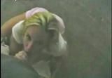 Reality Wife - Public Sex Park Blowjob - Reality Wife - Public Sex Park Blowjob - Filme porno (numai XXX)